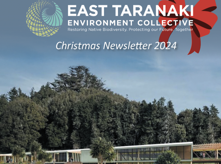 christmas newsletter 2024